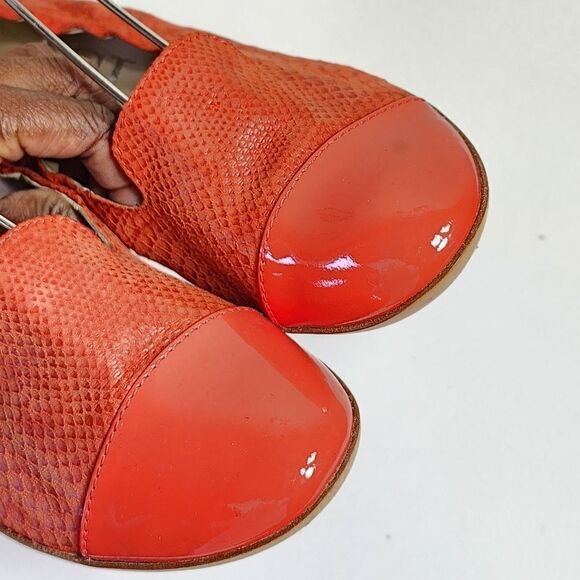 Agl   - Picture 6 of 15